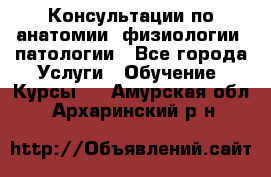 Консультации по анатомии, физиологии, патологии - Все города Услуги » Обучение. Курсы   . Амурская обл.,Архаринский р-н